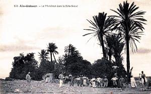 Ain-Guisser - Marabout dans le Bois Sacre